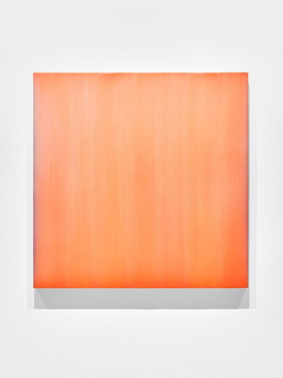 Farblichtung Hellrot uber Inkarnat by Sybille Pattscheck contemporary artwork Mixed Media