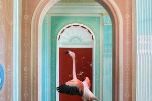 Karen Knorr