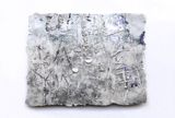 Wall 23 by Giovanni Ozzola contemporary artwork sculpture