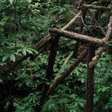 Flume trestles by Caroline Mcquarrie contemporary artwork photography print
