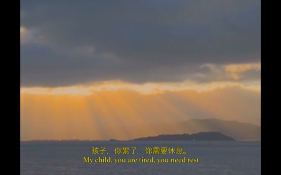 A Theory about Flu by Chan Ka Kiu contemporary artwork Moving Image