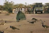 A village bus stop Barmer by The Estate Of Raghubir Singh contemporary artwork photography
