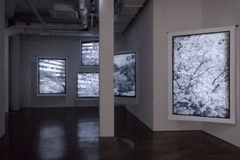 Contemporary art exhibition Kim Donki Trees_seoul at Gallery Chosun Seoul South Korea
