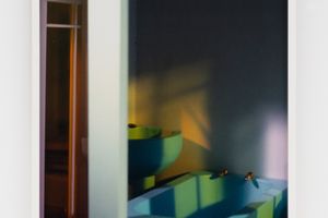 Laurie Simmons