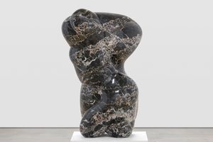 Tony Cragg