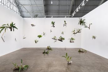 Contemporary art exhibition Daniel Steegmann Mangrane Uma Folha Translucida No Lugar Dos Olhos at Mendes Wood DM Sao Paulo Brazil