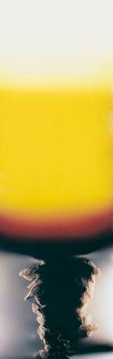 Bruissement 18 by Anne Noble contemporary artwork photography
