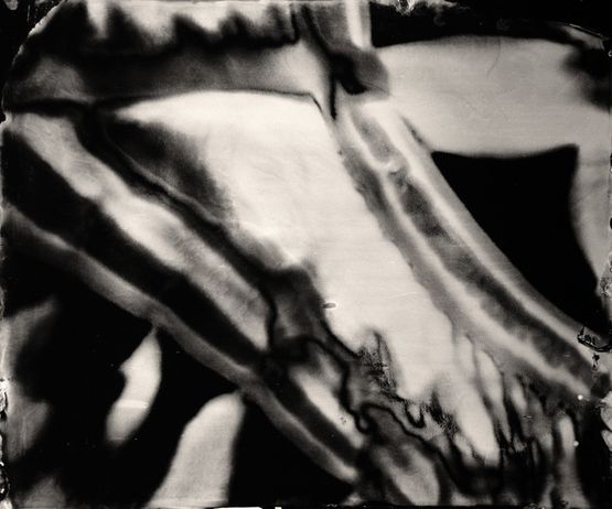 Primordial 1 by Casey Reas contemporary artwork Print