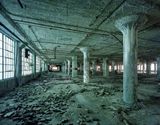 Fisher Body 21 Plant by Yves Marchand And Romain Meffre contemporary artwork photography