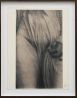 Clerambault by John Stewart contemporary artwork Photography