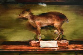 Lim Heejae contemporary artist
