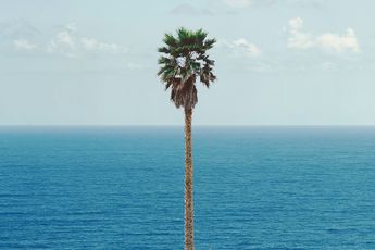 Contemporary art exhibition Group Exhibition 10 Years LA at Spruth Magers Los Angeles United States