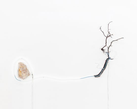 XXIX - More robust nature.. more robust geometry - by Gabriel Rico contemporary artwork Sculpture