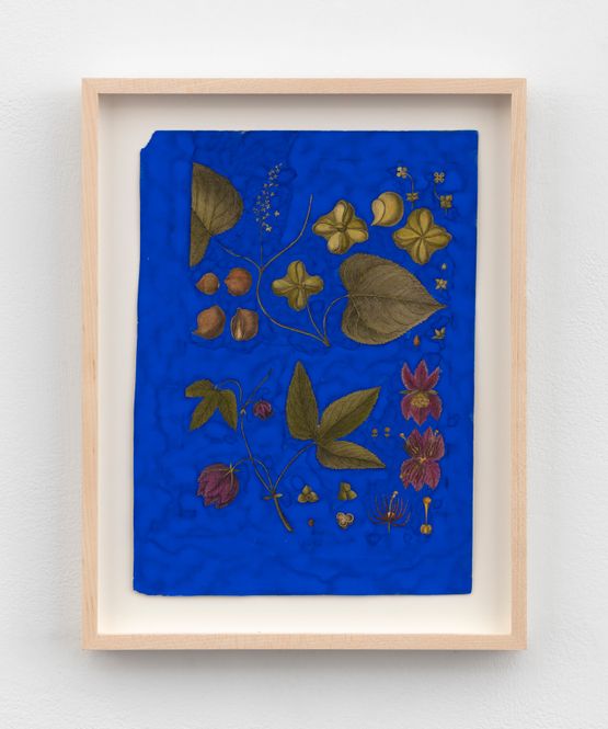 After Bonnaterre 97 by Terry Adkins contemporary artwork Works on Paper