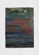 Night coral by Chioma Ebinama contemporary artwork painting works on paper