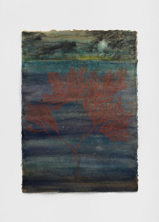 Night coral by Chioma Ebinama contemporary artwork Painting