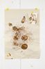 UNTITLED by Vicky Kim contemporary artwork Print