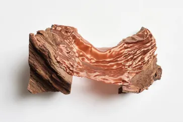 Edith Dekyndt contemporary artist