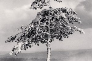 Michael Kenna