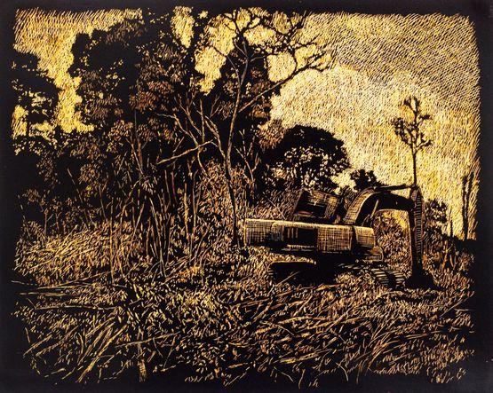 Land Clearing by Maryanto contemporary artwork Mixed Media