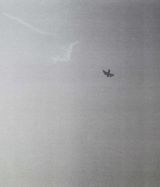 Untitled Bird by Felix Gonzalez-Torres contemporary artwork print works on paper