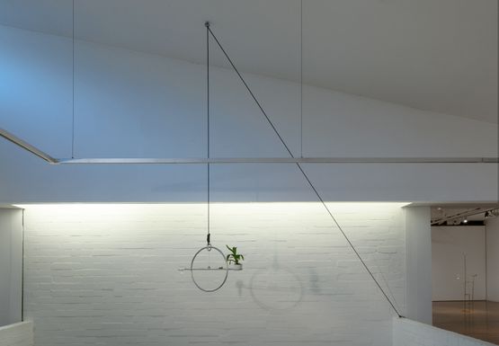 Equilibrium by Caroline Rothwell contemporary artwork Installation