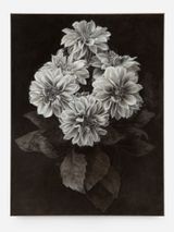 Dahlia by Don Brown contemporary artwork painting works on paper