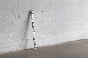 Roni Horn