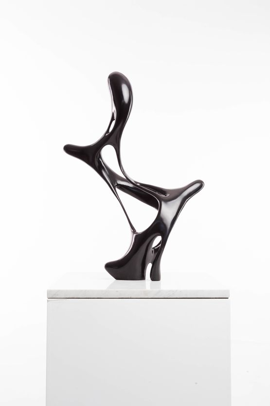Tell the truth by Driaan Claassen contemporary artwork Sculpture