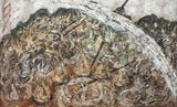 Incense_snail by Woo Min Jung contemporary artwork painting