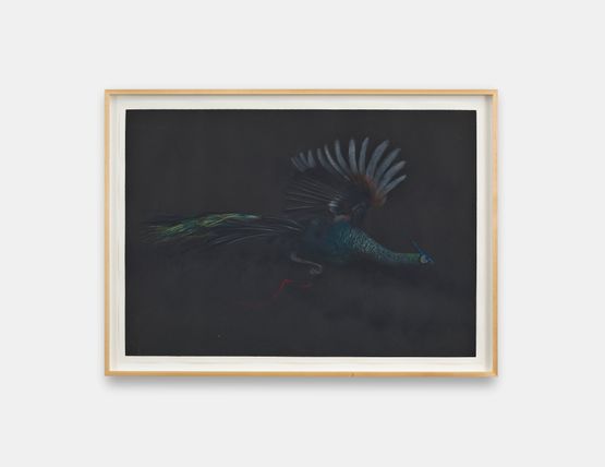 Confidence Can Replace Reason by Holly Lowen contemporary artwork Works on Paper