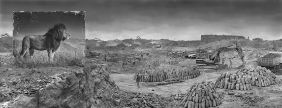 Quarry with Lion Inherit The Dust Kenya by Nick Brandt contemporary artwork Photography