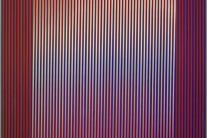 Carlos Cruz-Diez