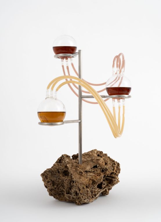 Dewpoints by Anicka Yi contemporary artwork Sculpture