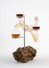 Dewpoints by Anicka Yi contemporary artwork Sculpture