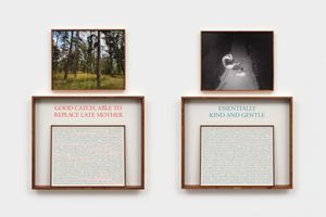 Sophie Calle
