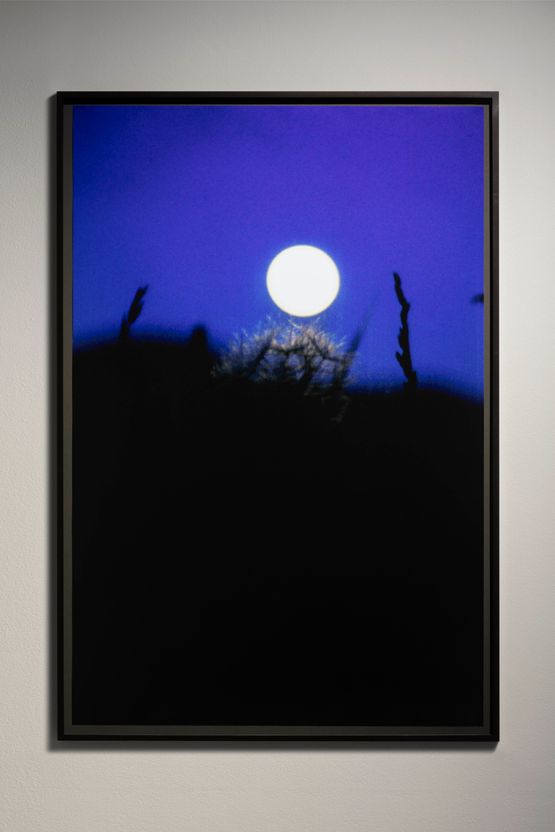 North Salem Moon 1993 by Rachel Rose contemporary artwork Photography