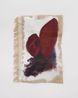 attelabidae by Ryu Takeda contemporary artwork Painting
