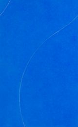 Curve 27 by Hoh Woo Jung contemporary artwork painting