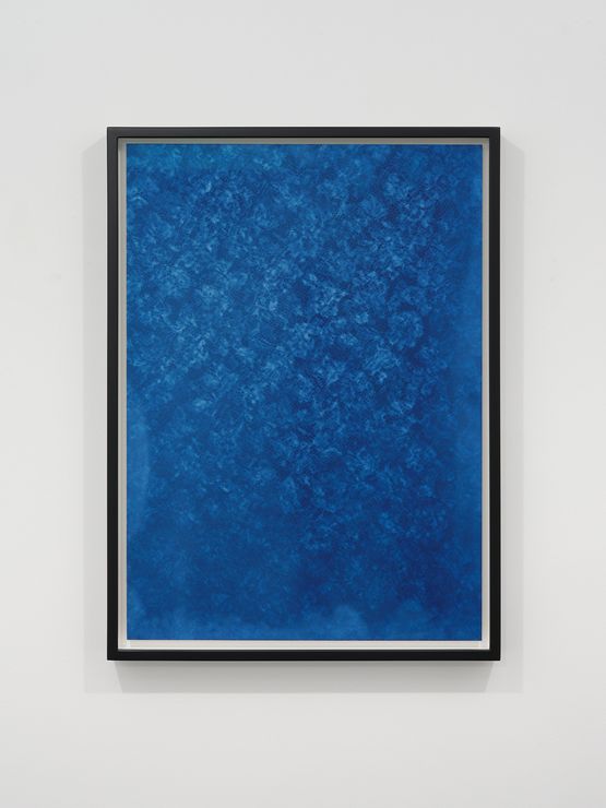 Composite No. 4 by Gavin Hipkins contemporary artwork Photography