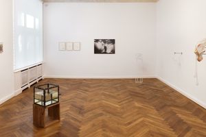 Contemporary Fine Arts  CFA contemporary art gallery in Berlin Germany