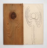The Annunciation of the Tree by Mirella Bentivoglio contemporary artwork drawing sculpture works on paper