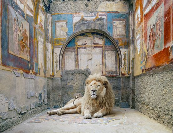Lions Rescue The College of the Augustales Herculaneum by Karen Knorr contemporary artwork Photography