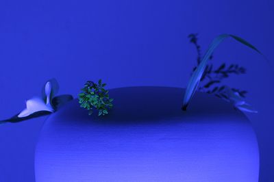 Taoyuan Museum of Fine Arts Announces Grand Prize Winner
