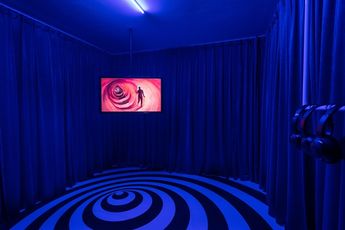 Contemporary art exhibition HAIYANG WANG Wang Haiyang at Capsule Shanghai China