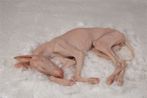 I Sleep on Top of Myself Dog by Shen Shaomin contemporary artwork Sculpture