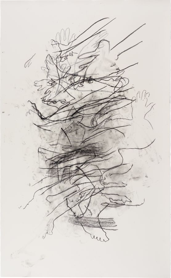 Shadowed by Julie Rrap contemporary artwork Works on Paper