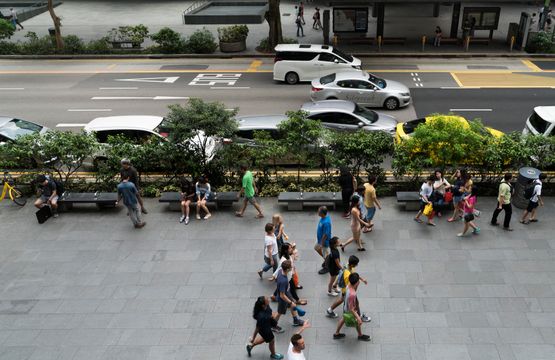 Orchard Road by Hu Jieming contemporary artwork Photography