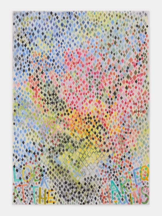 Look at the Harlequins by Isabel Nolan contemporary artwork Works on Paper