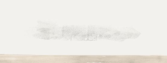 54321 Birds At High Tide by Robert Zhao Renhui contemporary artwork Photography